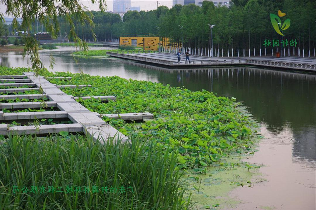 宁波鄞州中心区河道欢迎访问十大电子网址改造案例图